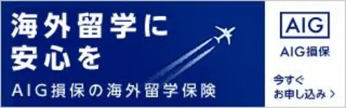 AIG保険