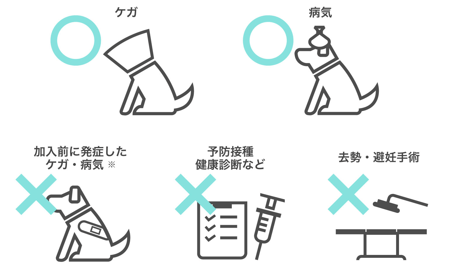 ※ペット保険は加入後に起きた、病気・ケガに備える為の保険です。加入前からの病気・ケガや予防や健康診断は原則対象にはなりません。