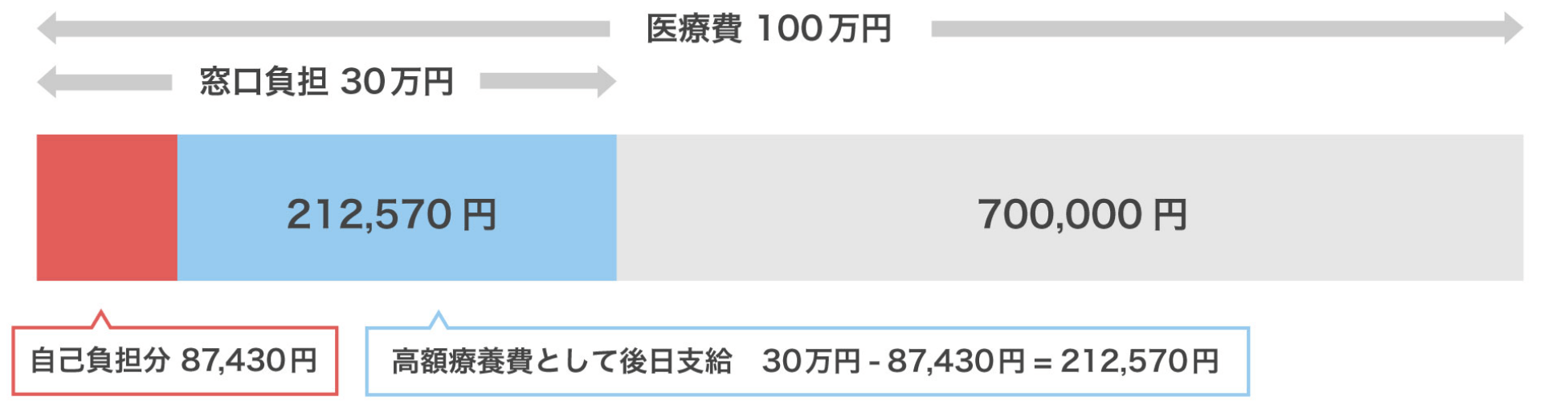 医療費100万円の内訳